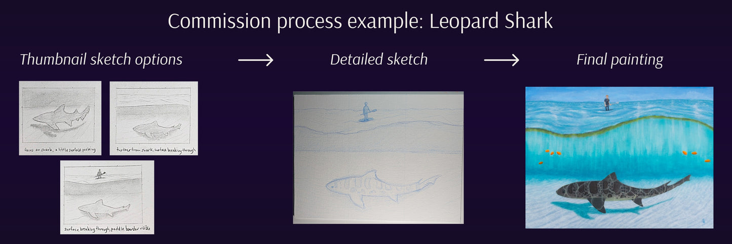 Overview of the commission process for a painting of a leopard shark