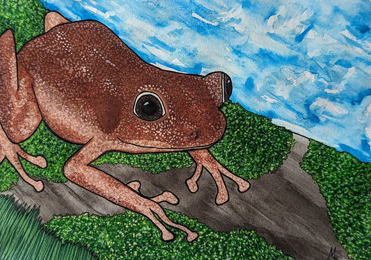 Painting of a brown frog with textured speckles sitting on a log by a river