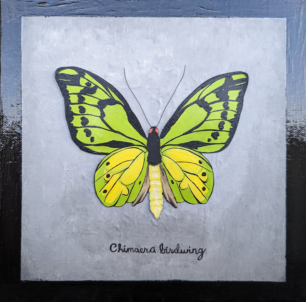 A butterfly painted onto paper, cut out, and pasted onto a canvas to mimic a shadowbox