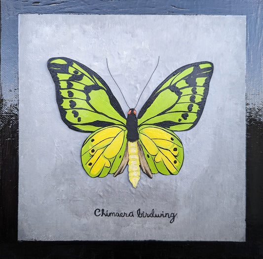 A butterfly painted onto paper, cut out, and pasted onto a canvas to mimic a shadowbox